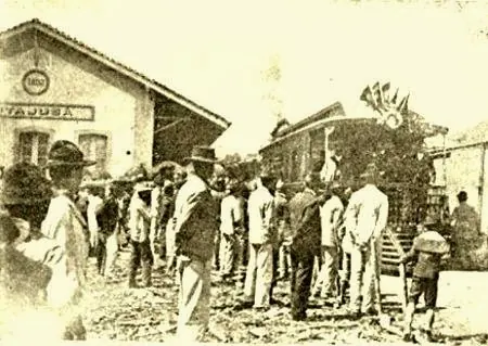 Rede Ferroviária Sul Mineira (8)
