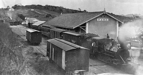 Rede Ferroviária Sul Mineira (34)