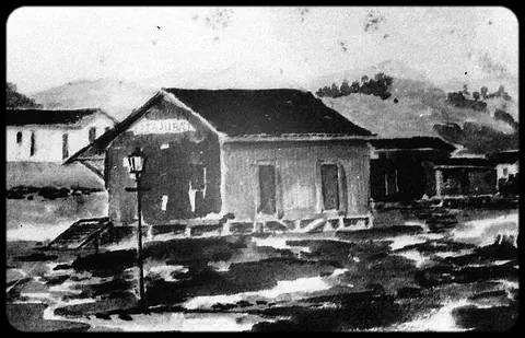 Rede Ferroviária Sul Mineira (41)