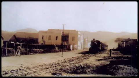 Rede Ferroviária Sul Mineira (43)