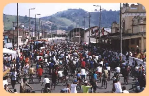 Rede Ferroviária Sul Mineira (60)