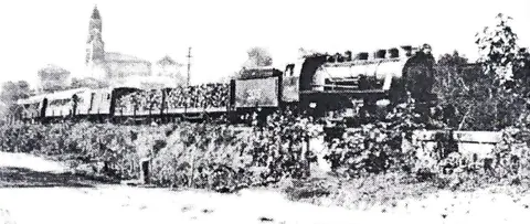 Trem do ramal de Itajubá a Delfim Moreira